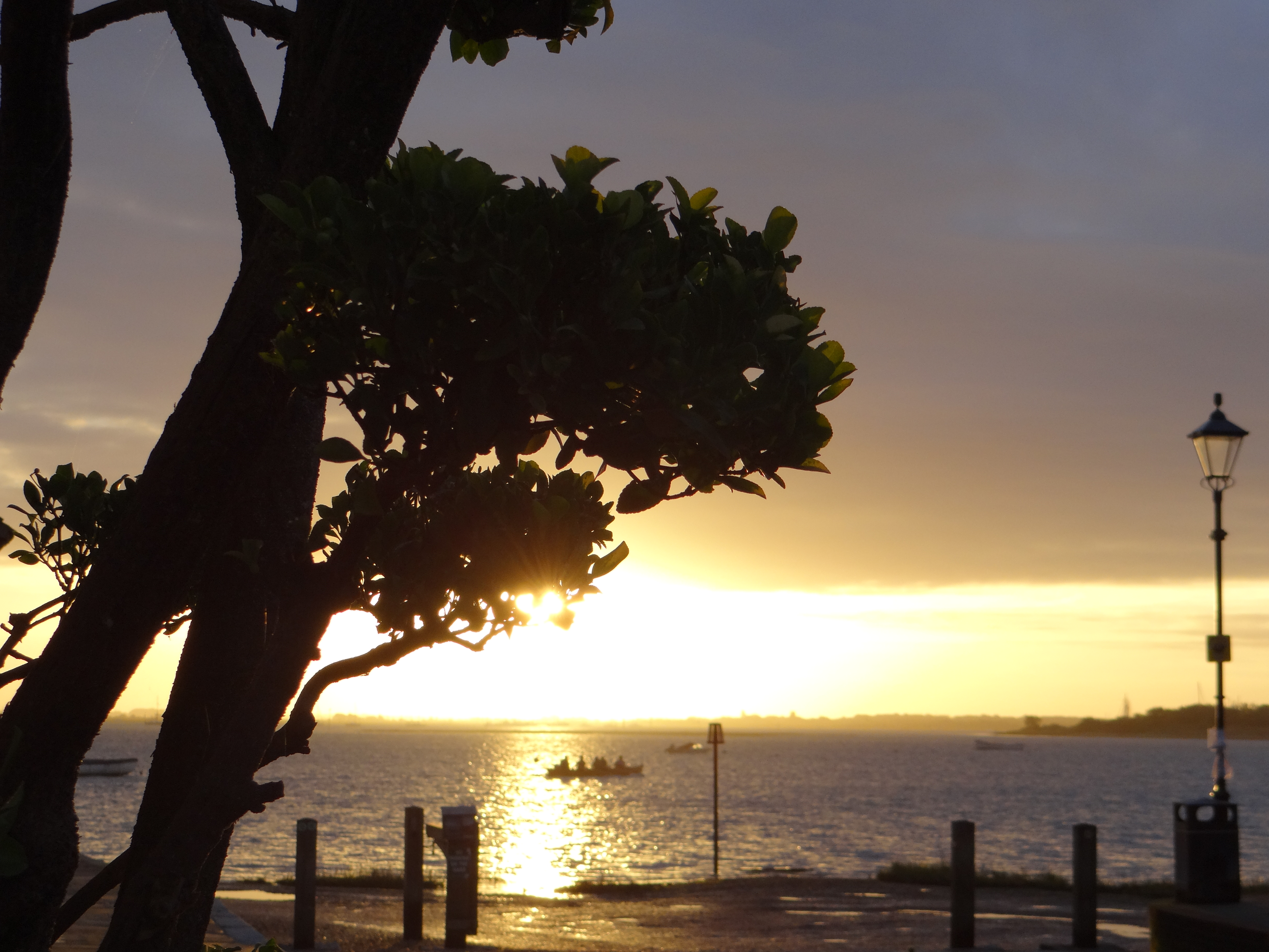 Photograph: DSC00858.JPG