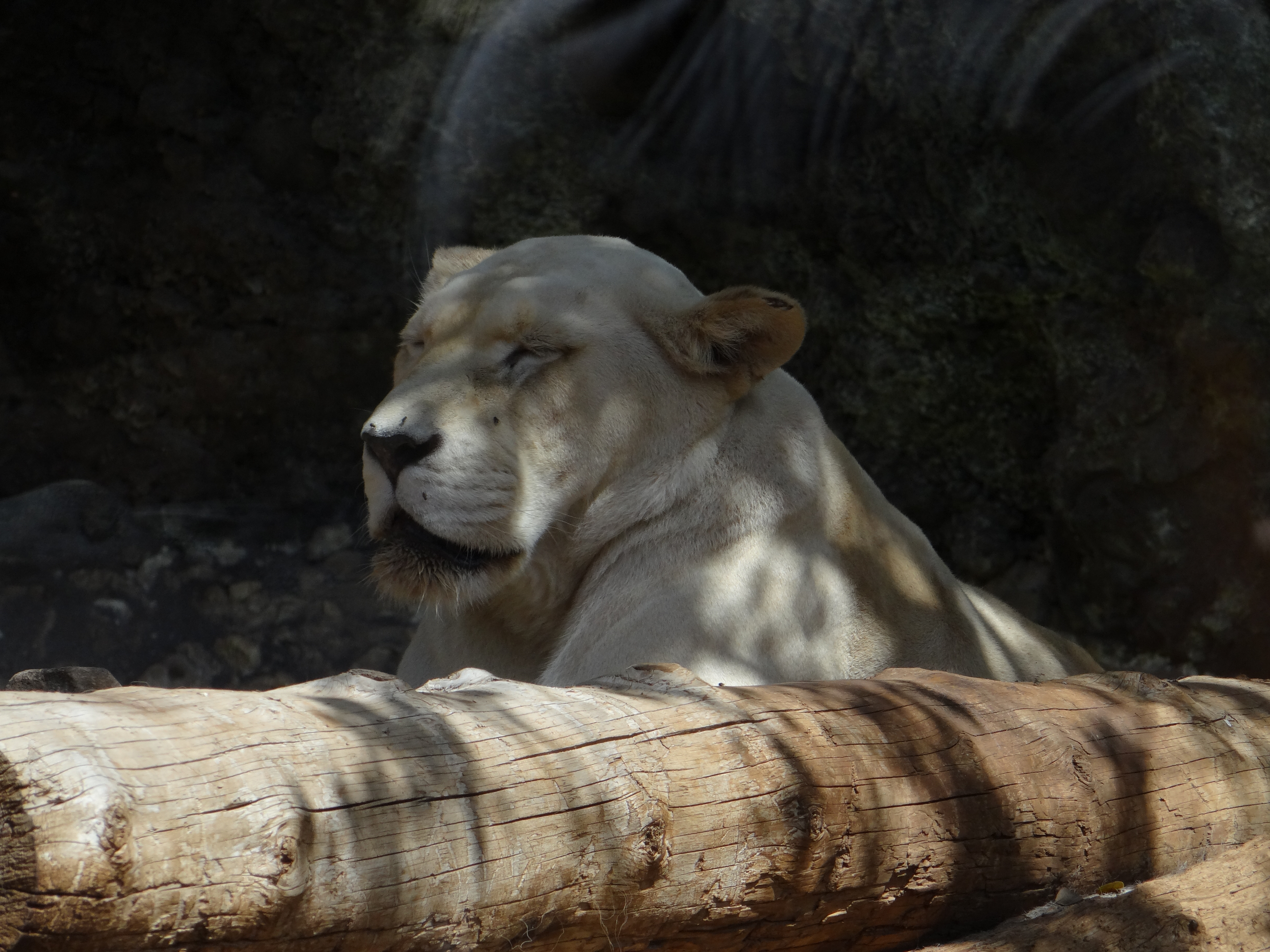 Photograph: DSC03677.JPG