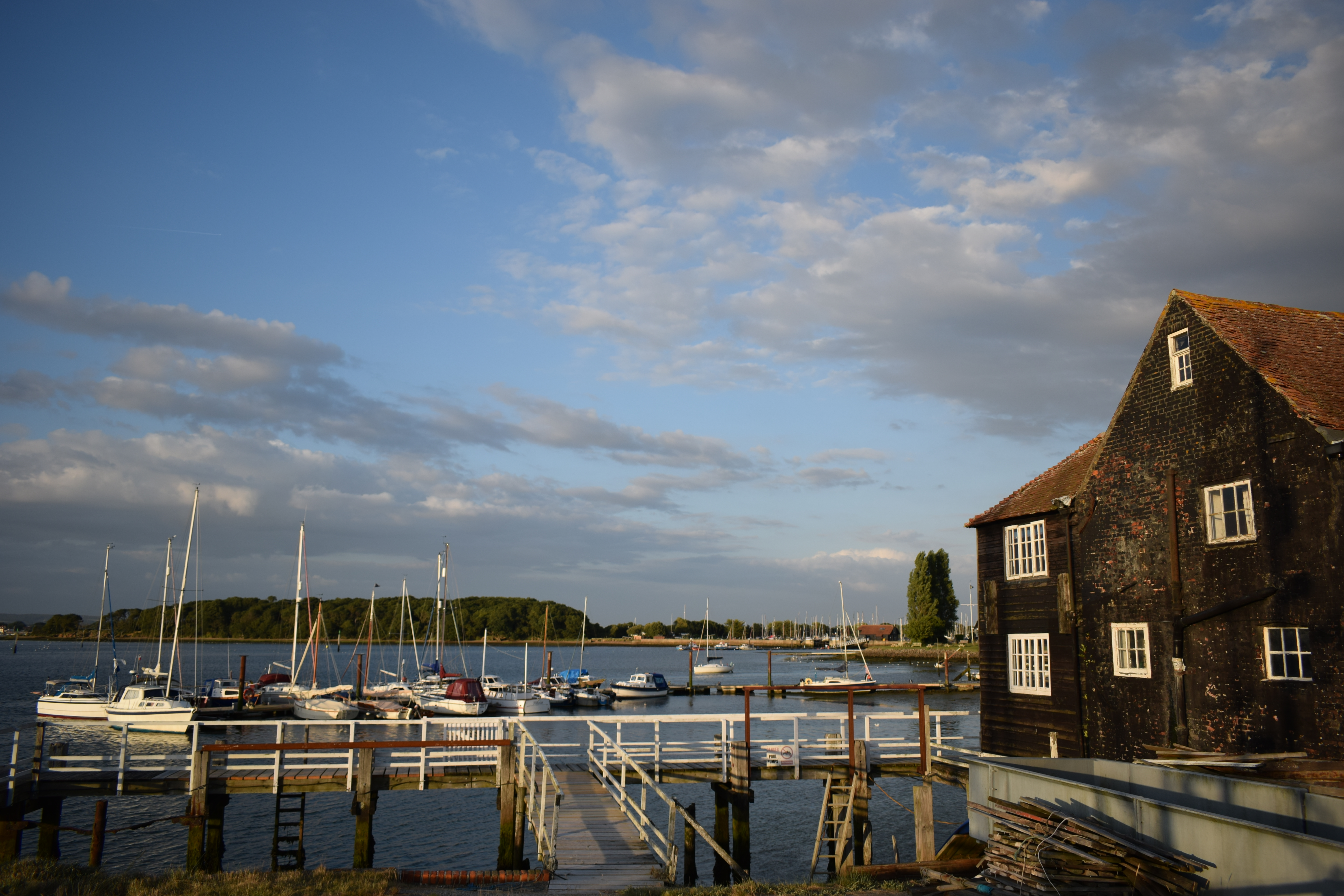 Photograph: DSC_0005_(5).JPG