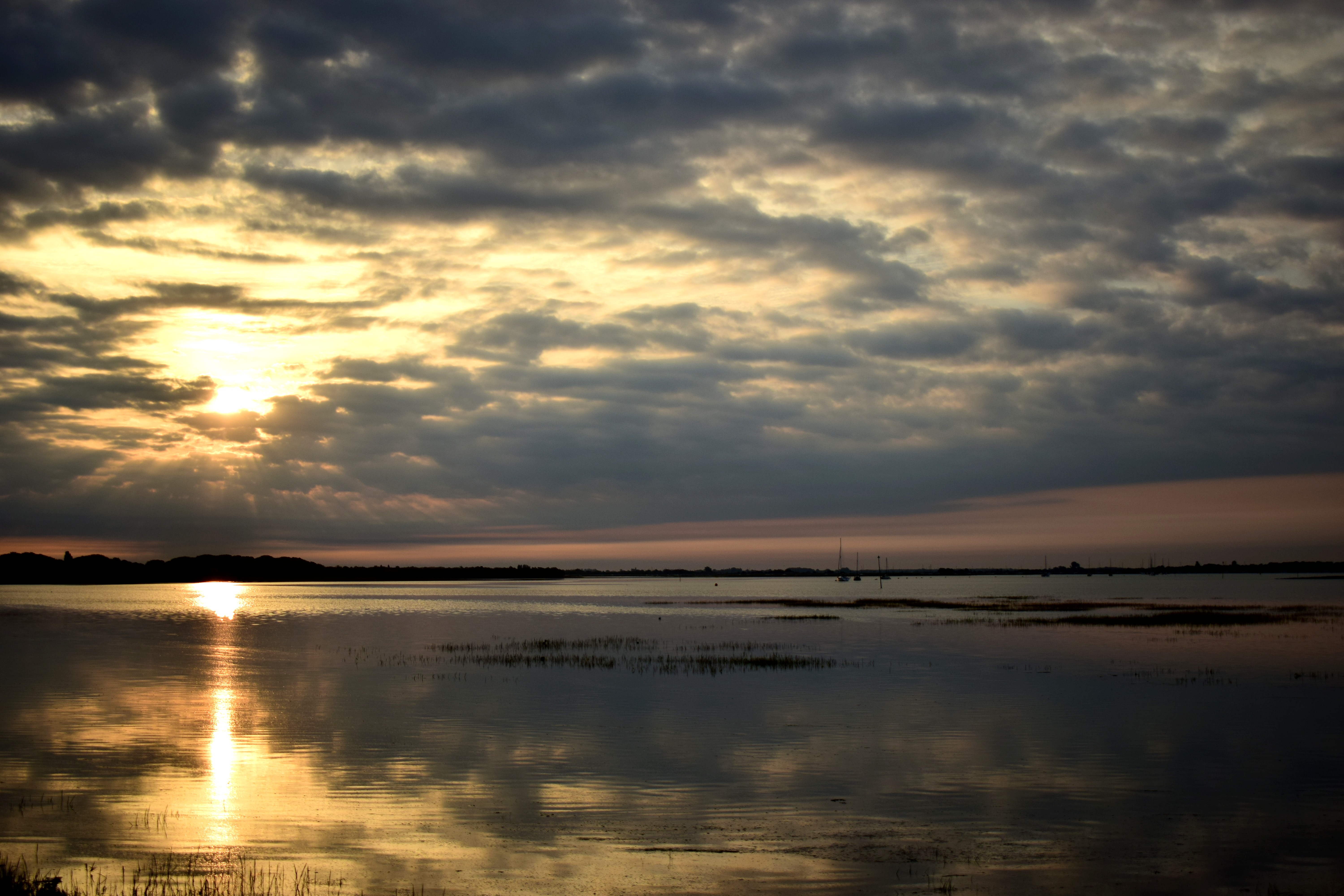 Photograph: DSC_0019.JPG