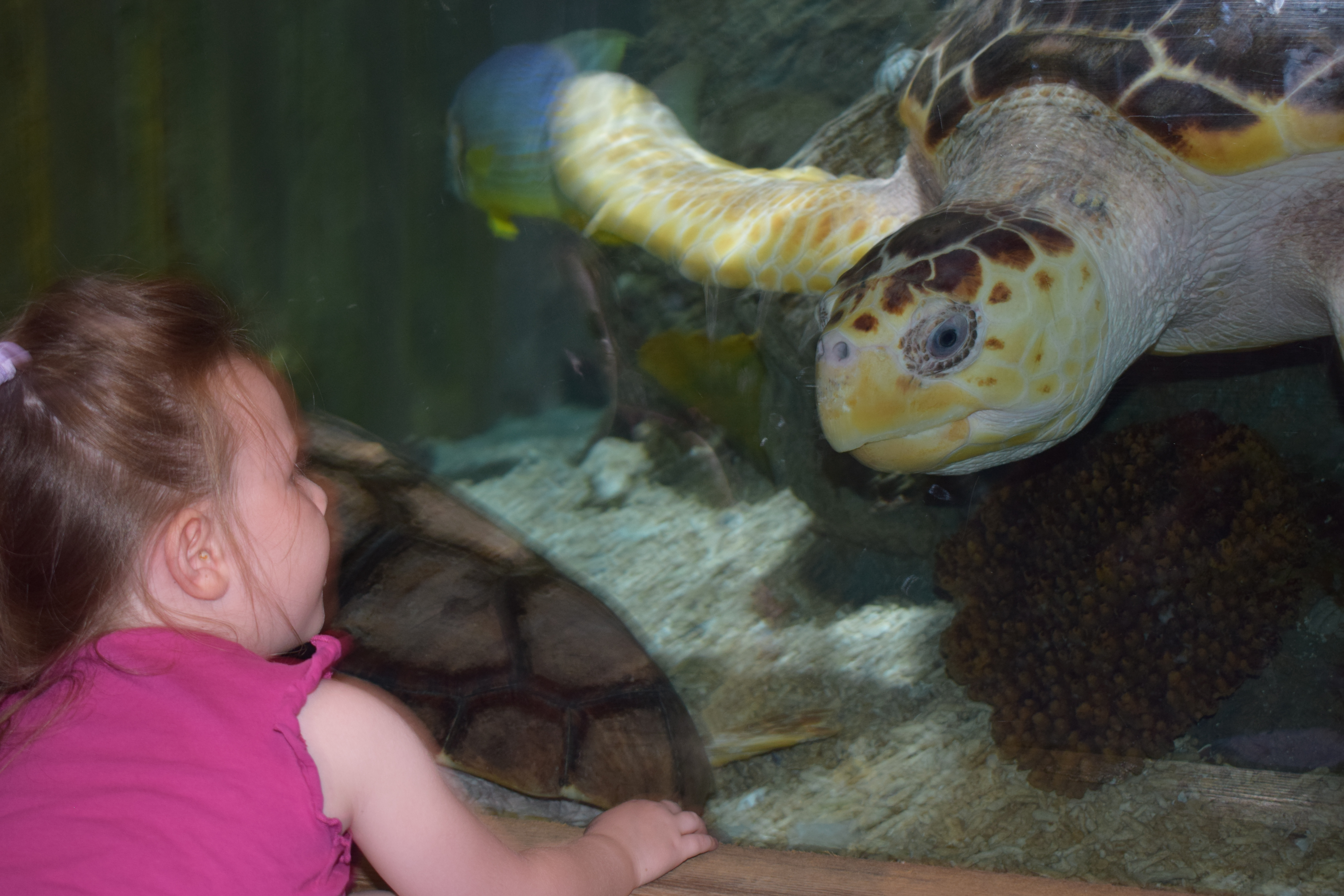 Photograph: DSC_0096_(2).JPG