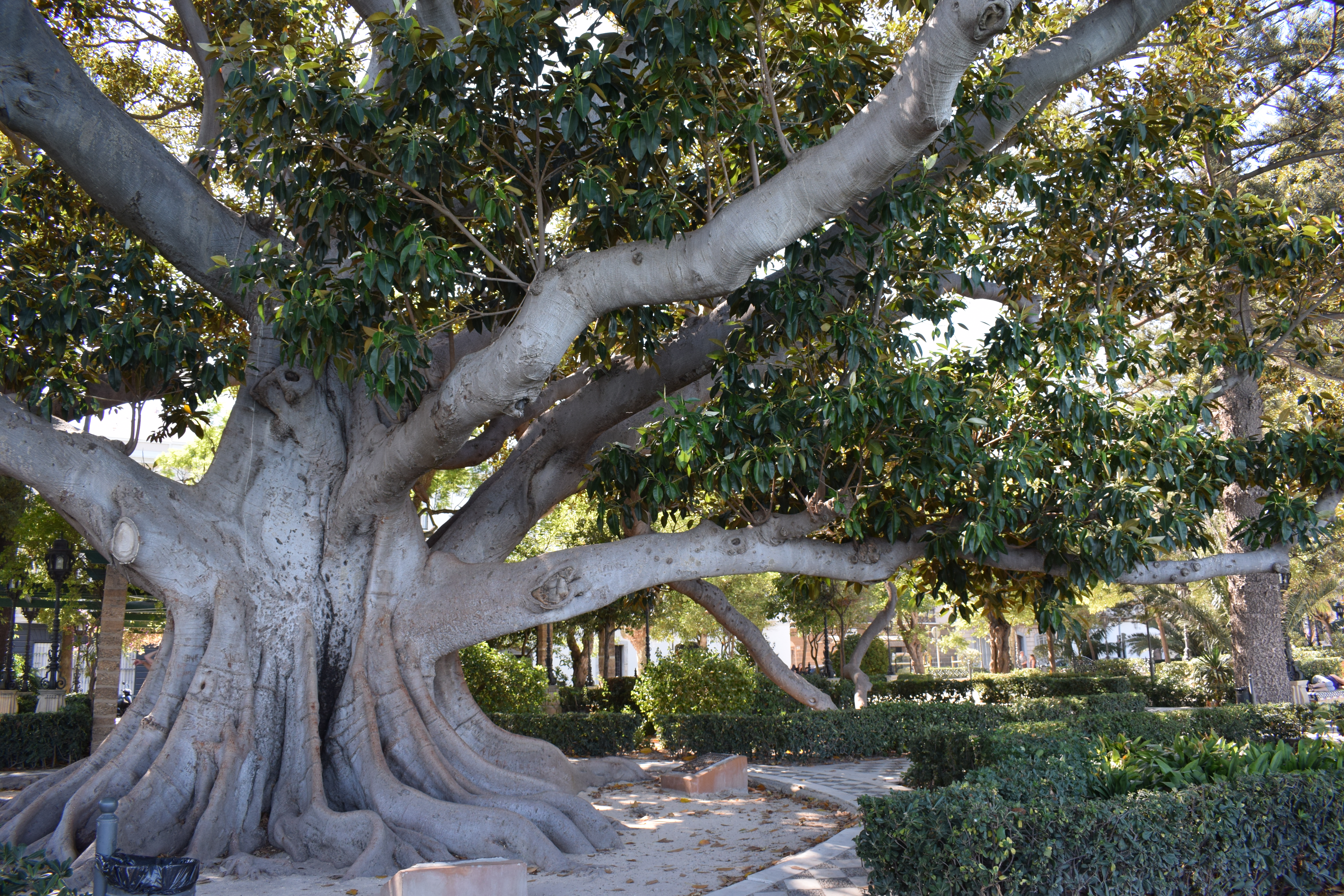 Photograph: DSC_0415.JPG