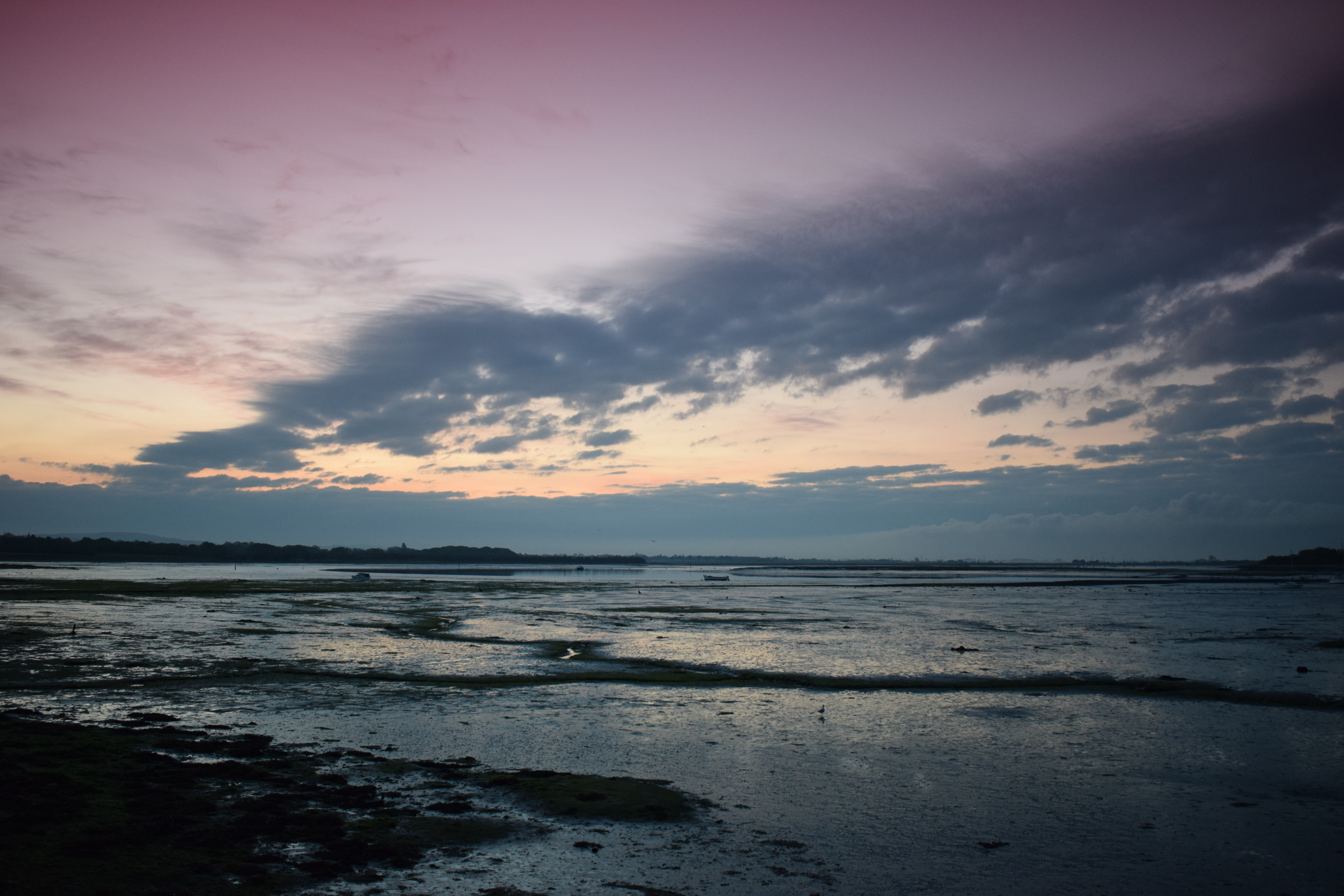 Photograph: DSC_0423_(2).JPG