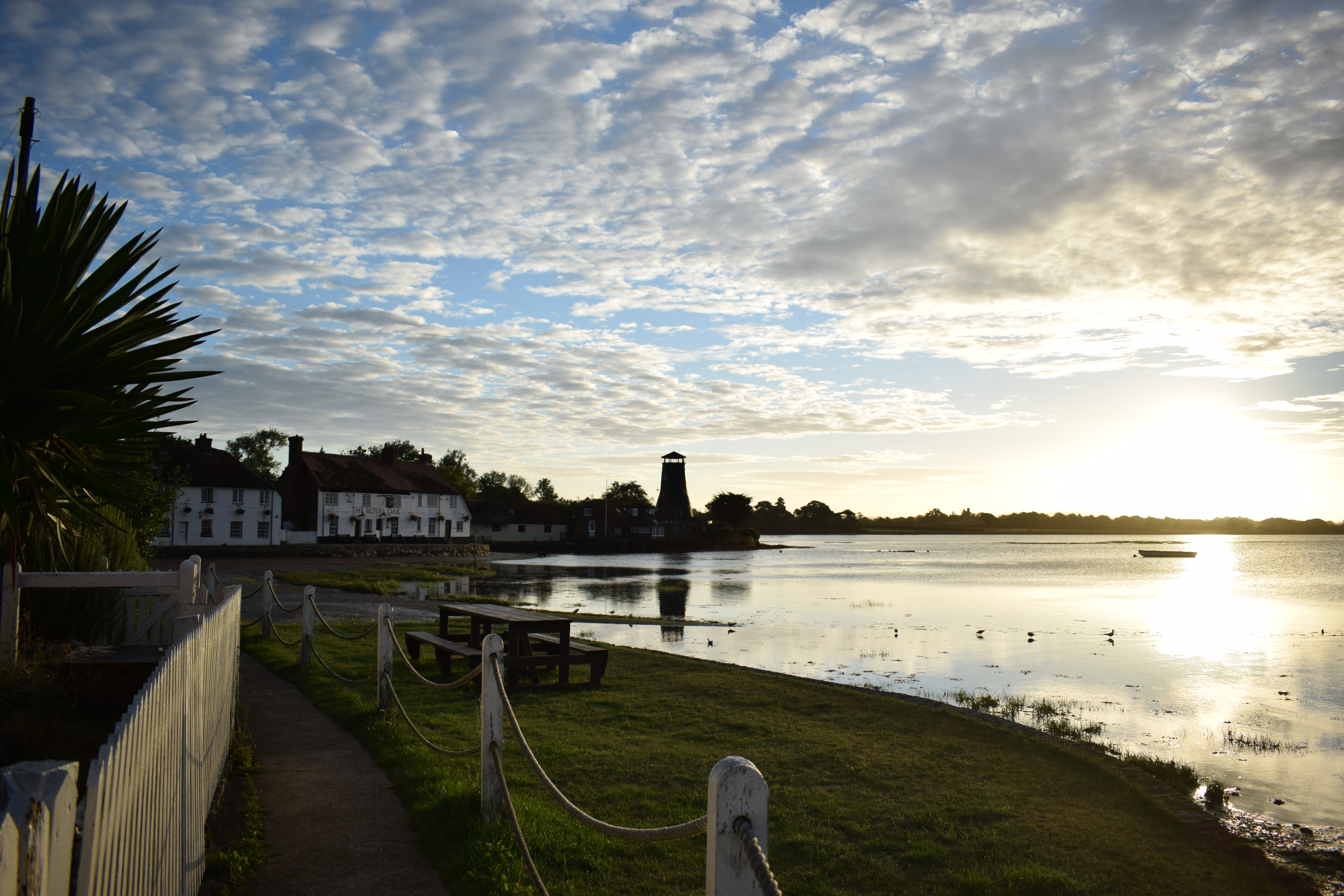 Photograph: DSC_0546.JPG