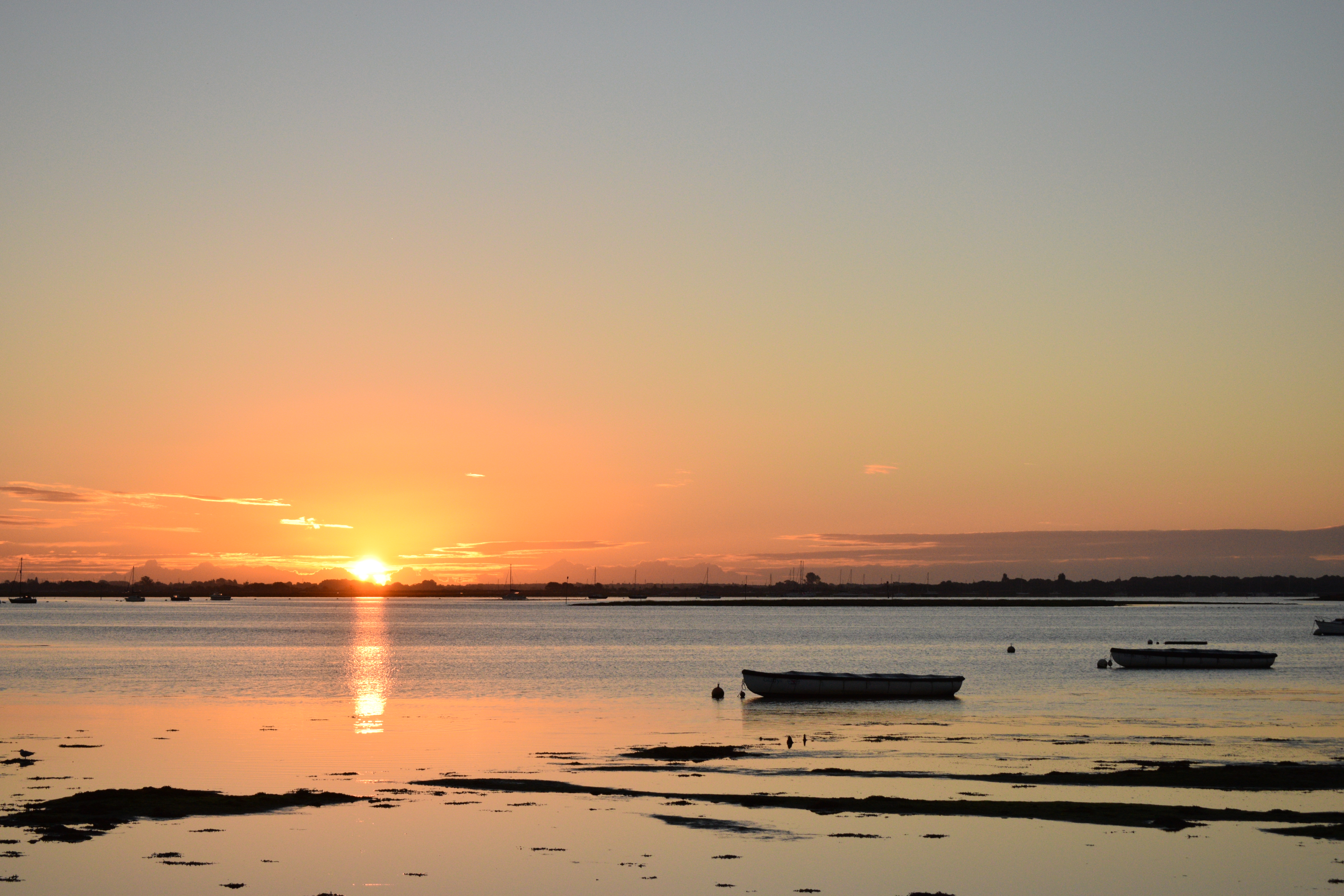 Photograph: DSC_0577_(2).JPG