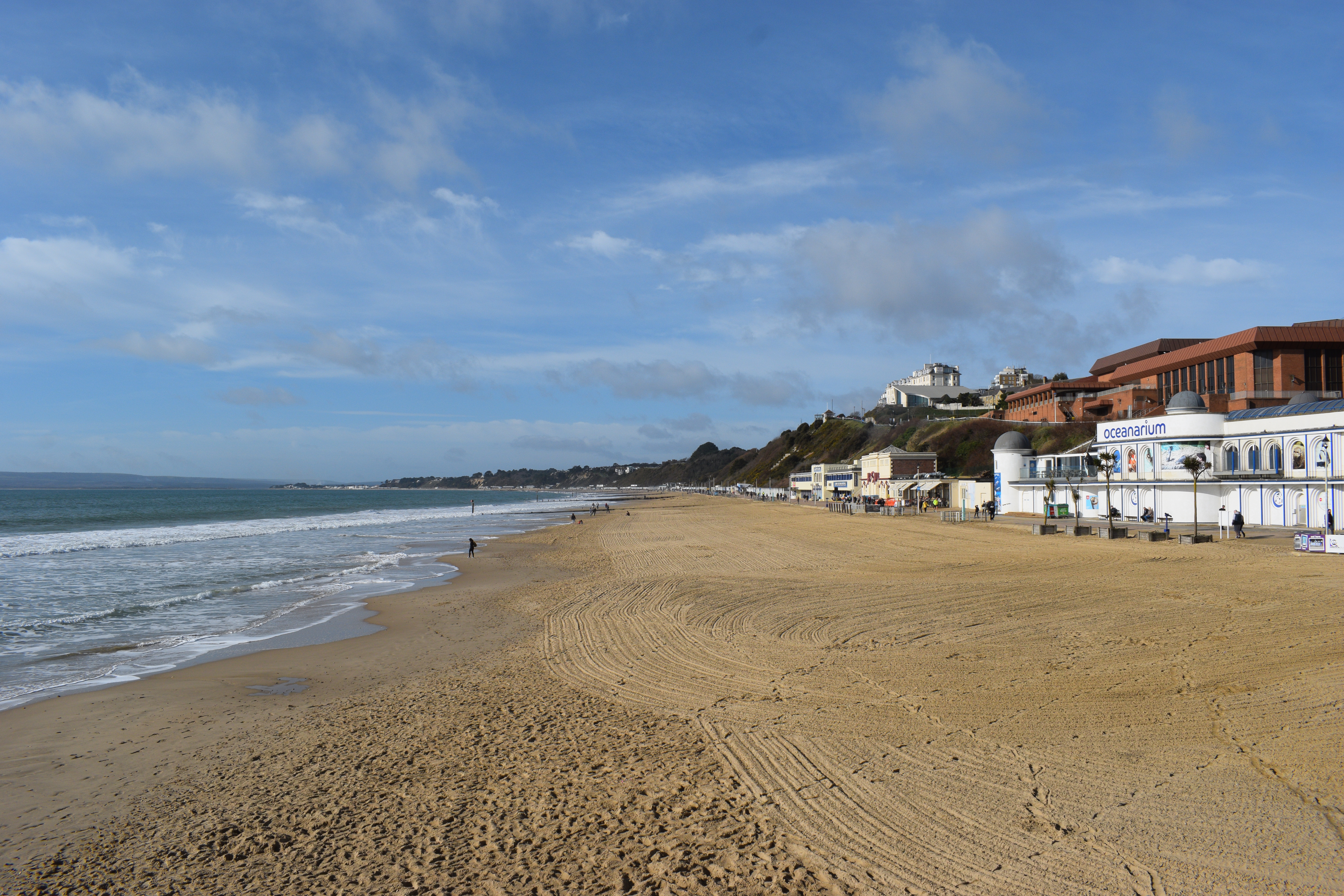 Photograph: DSC_2987.JPG