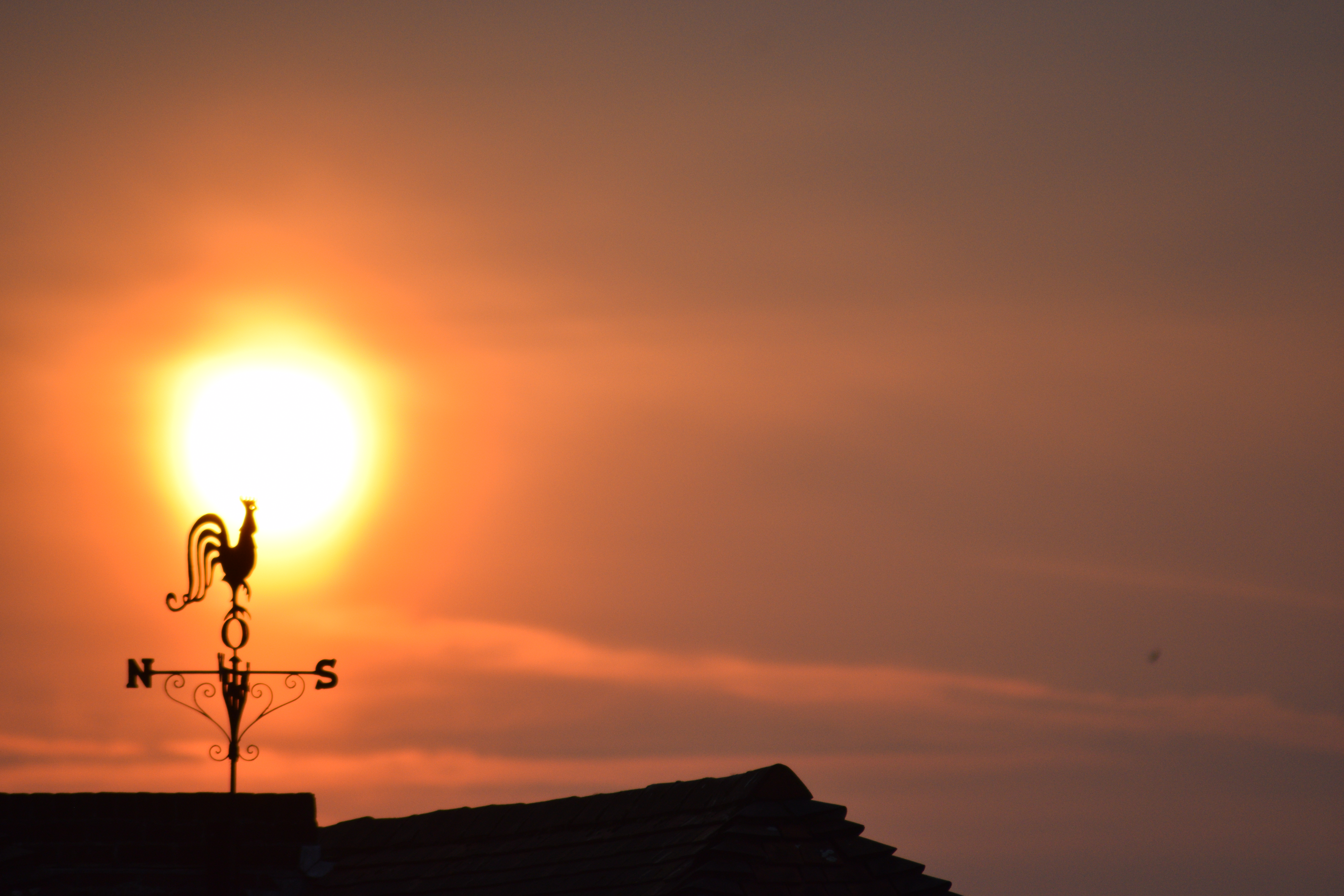 Photograph: DSC_4182.JPG