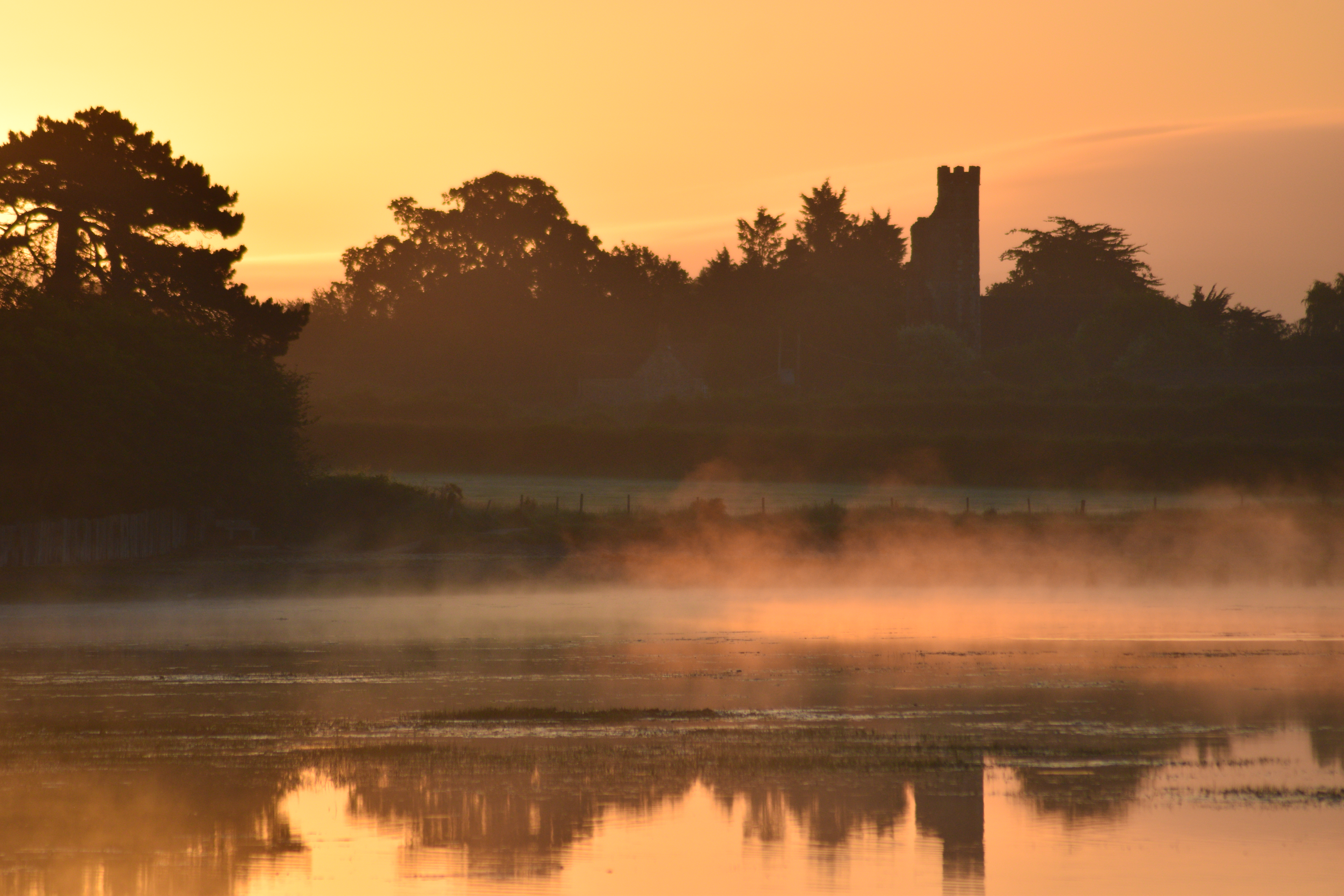 Photograph: DSC_4871.JPG