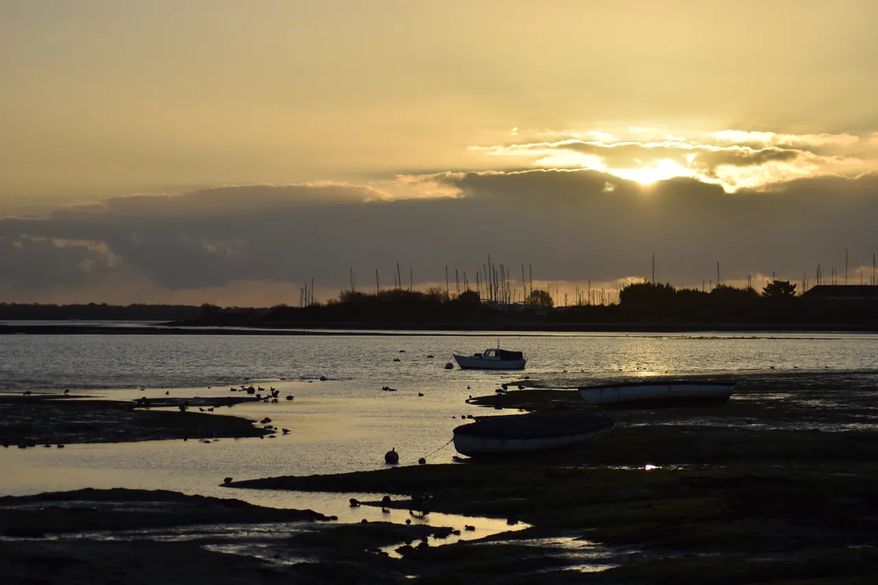 Photograph: DSC_2306.JPG